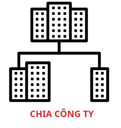 Thủ tục chia công ty là gì?