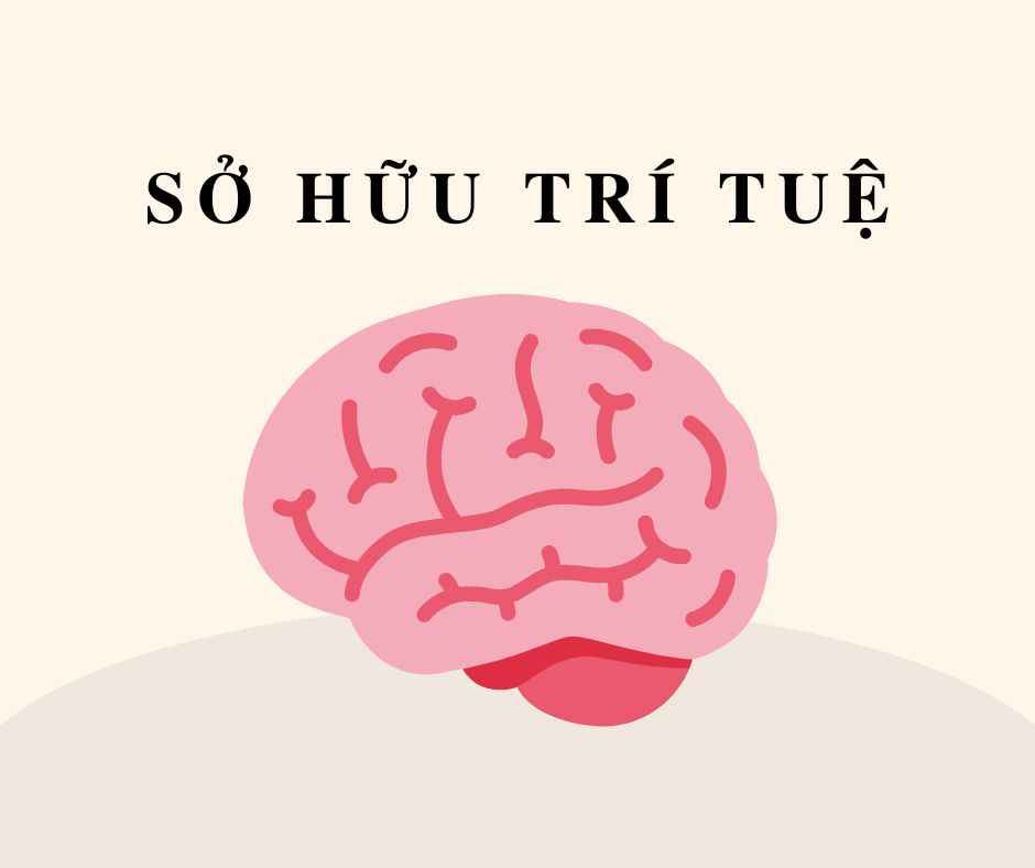 Trách nhiệm quản lý nhà nước về sở hữu trí tuệ