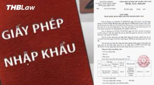 giấy phép nhập khẩu