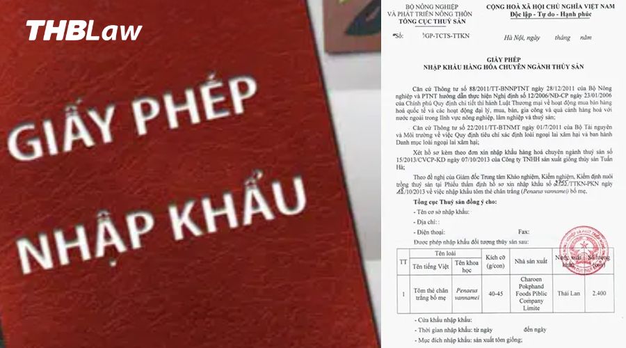 Quy trình, thủ tục xin giấy phép xuất nhập khẩu