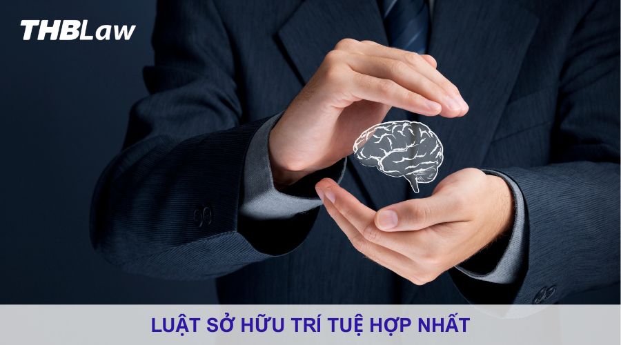 luật sở hữu trí tuệ hợp nhất là gì