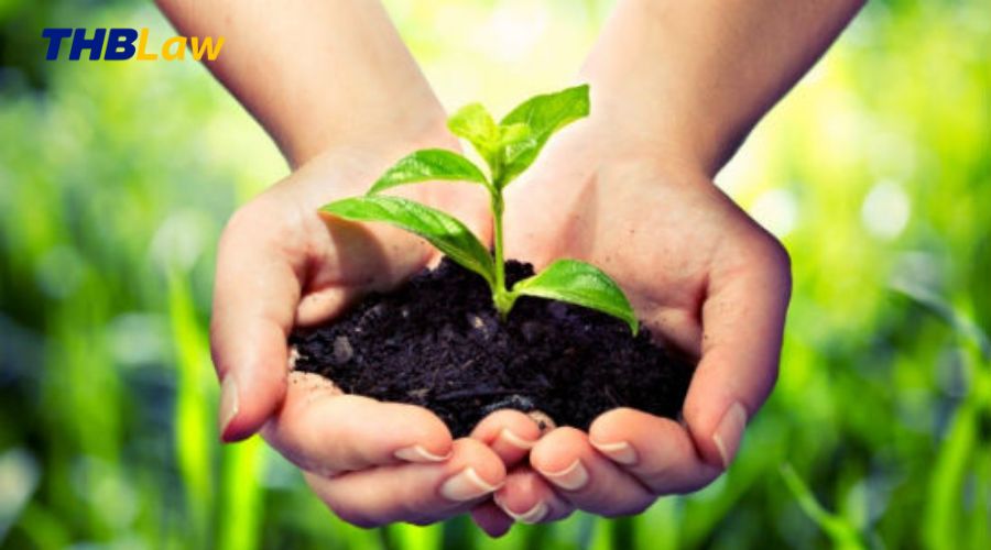 quyền đối với giống cây trồng trong luật sở hữu trí tuệ hợp nhất